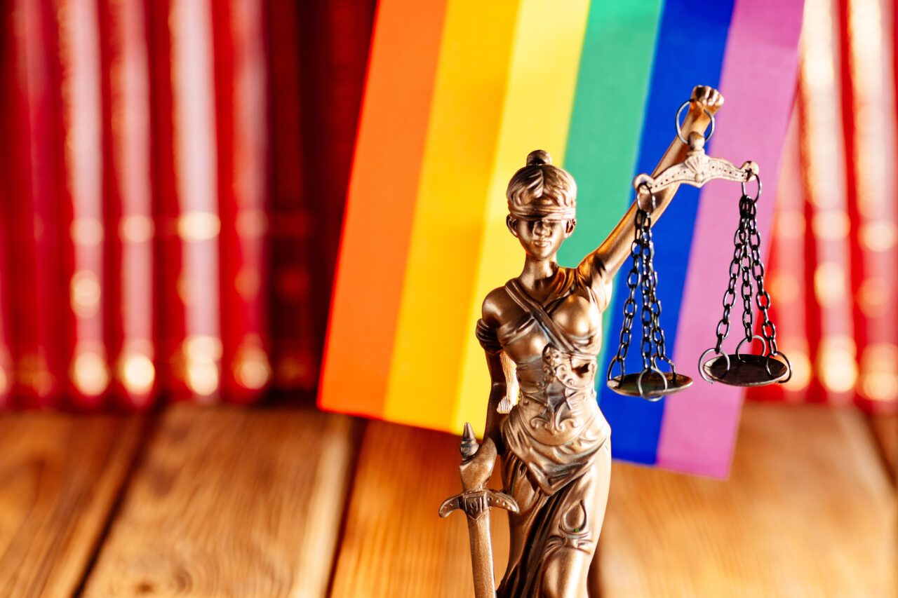 LGBTQ+ Section